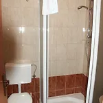 Farm stay Pri Lazarju Farm *