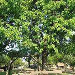 Farm stay Pri Lazarju Farm