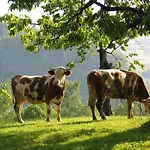 Pri Lazarju Farm