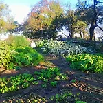 Farm stay Pri Lazarju Farm *