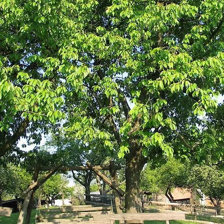 Gospodarstwo agroturystyczne Pri Lazarju Farm
