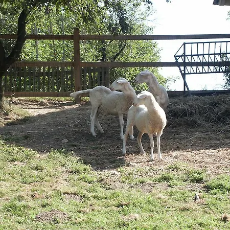 مزرعة للإقامة Pri Lazarju Farm Podgrad (Osrednjeslovenska)
