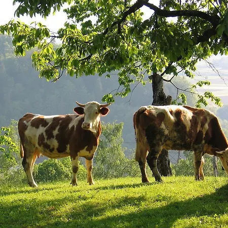 Pri Lazarju Farm