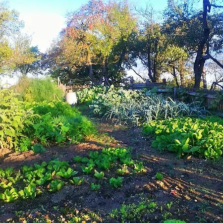 Gospodarstwo agroturystyczne Pri Lazarju Farm *