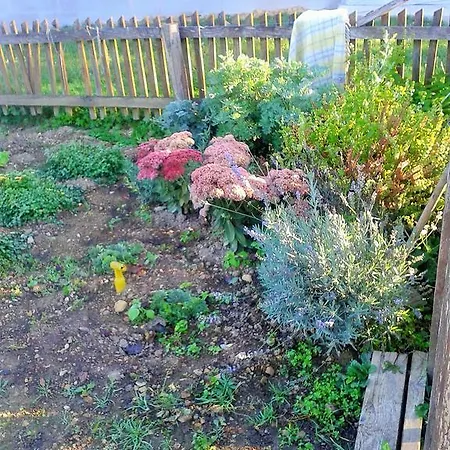 Pri Lazarju Farm Podgrad (Osrednjeslovenska)