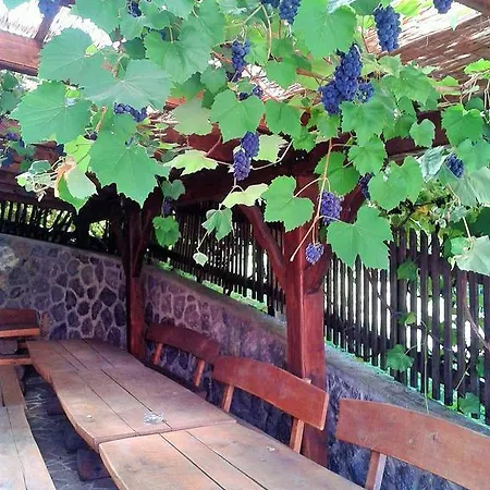Farm stay Pri Lazarju Farm *