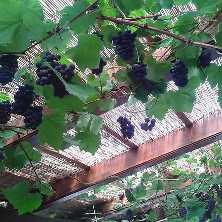 Gospodarstwo agroturystyczne Pri Lazarju Farm *