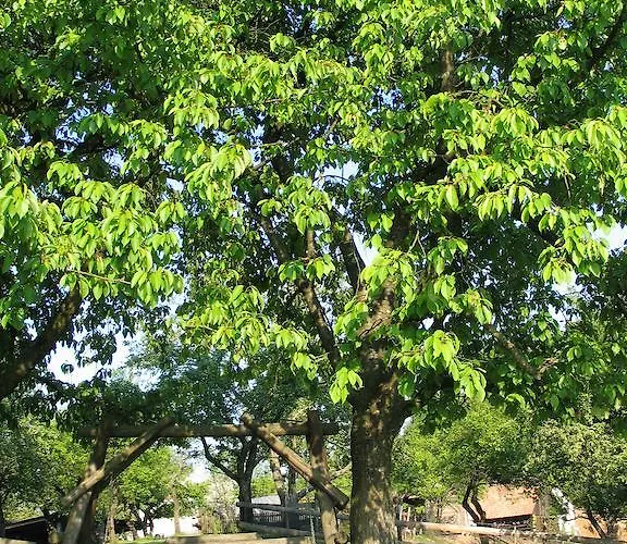 مزرعة للإقامة Pri Lazarju Farm