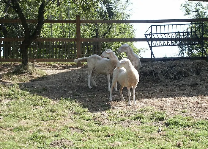 Çiftlik konaklama Pri Lazarju Farm Podgrad (Osrednjeslovenska)
