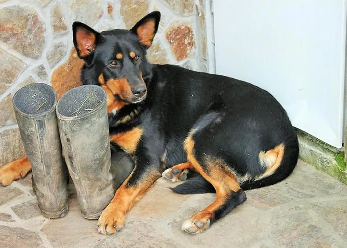 مزرعة للإقامة Pri Lazarju Farm