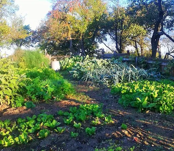 مزرعة للإقامة Pri Lazarju Farm *