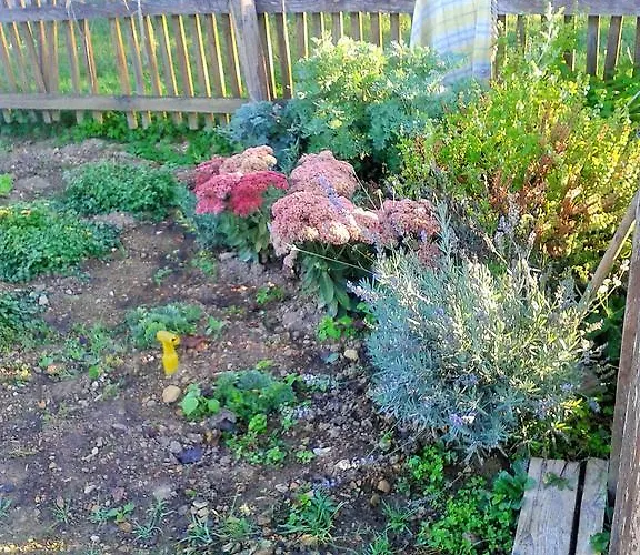 Pri Lazarju Farm Podgrad (Osrednjeslovenska)