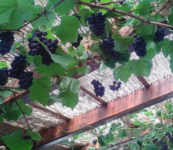 مزرعة للإقامة Pri Lazarju Farm *